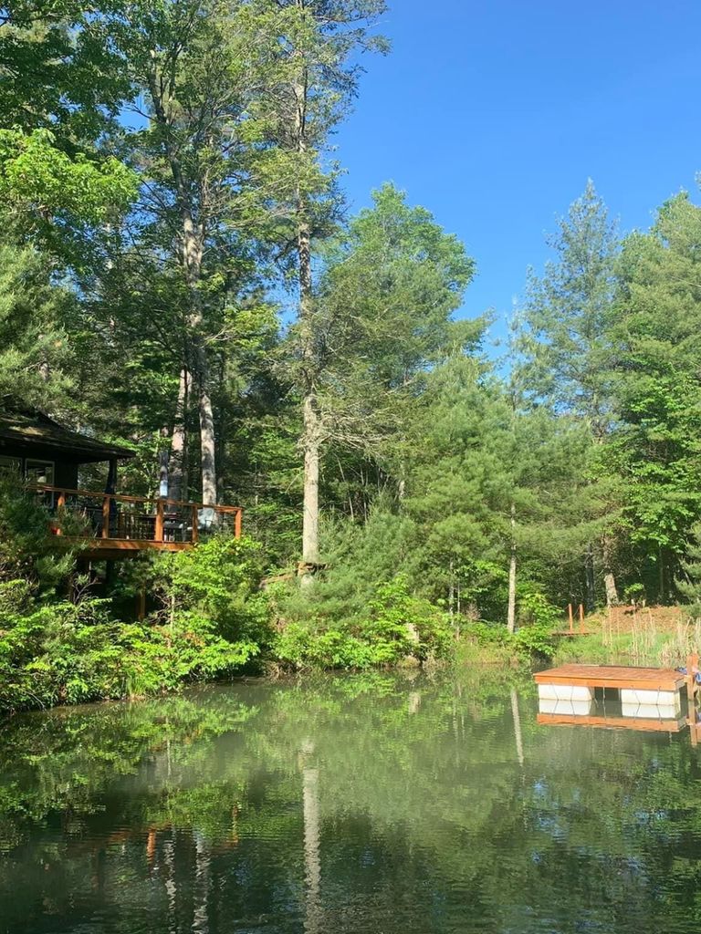 Sycamore Pond in Spring 