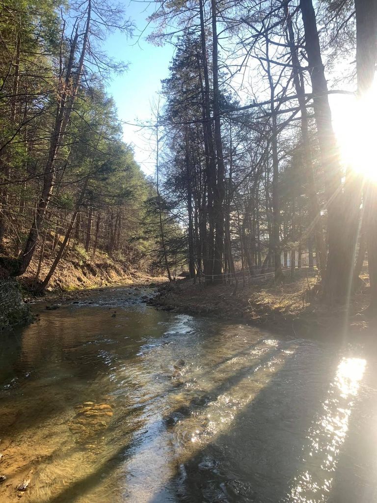 South Fork of South Branch of Potomac River